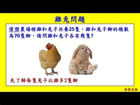 雞兔問題圖解|怎樣解題